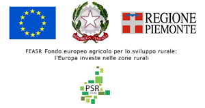 PSR 2014-2020 Misura 7.6.1
